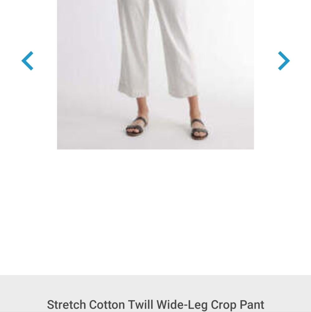 Quince WHITE Cotton Twill Wide Leg Pants - Picture 2 of 7